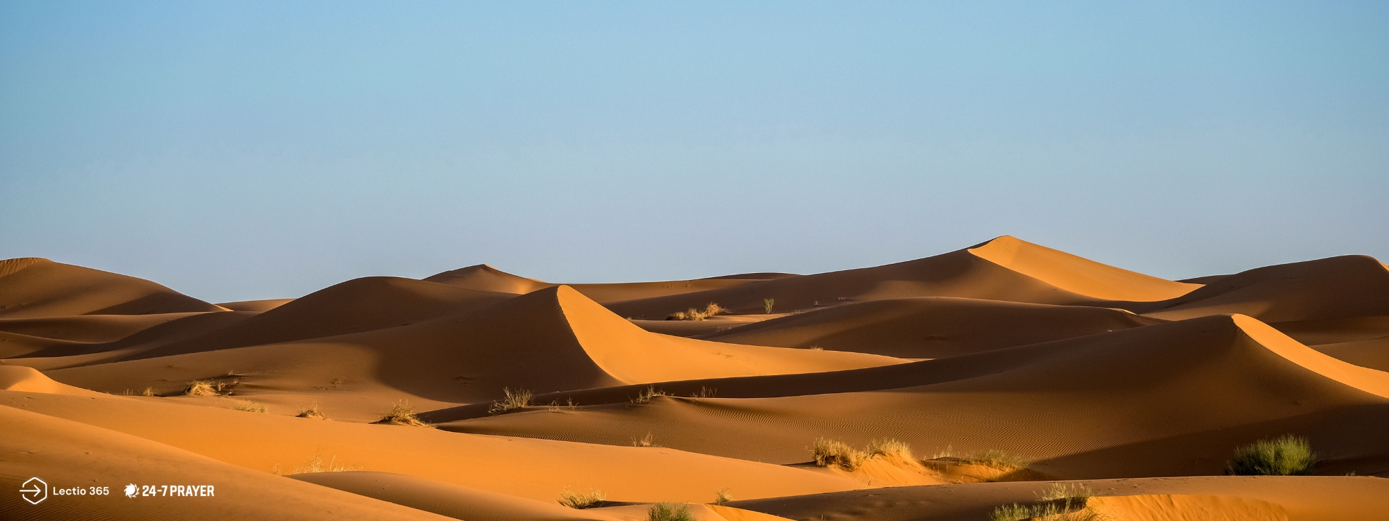 Desert Mothers and Fathers*Lent 2026*Find out more